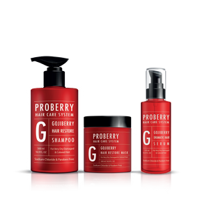 פרוברי מארז ריסטור