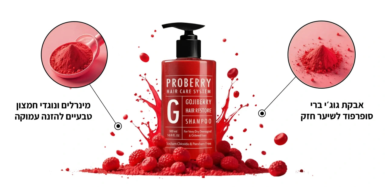  Proberry