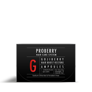 אמפולות ריסטור בוסט לשיער 6*10 מ״ל | Boost Restore Ampoules